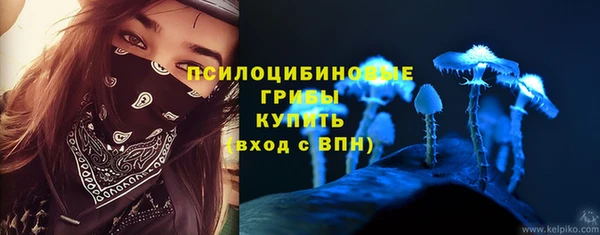 кокс Алексеевка