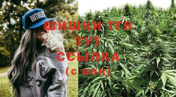 СК Алзамай