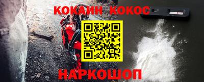 шишки Камышлов