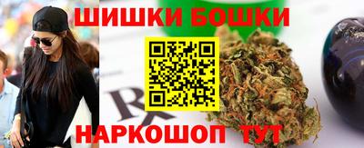 шишки Камышлов