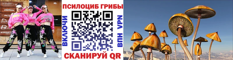 где купить наркоту  Михайловск  blacksprut tor  Галлюциногенные грибы ЛСД 
