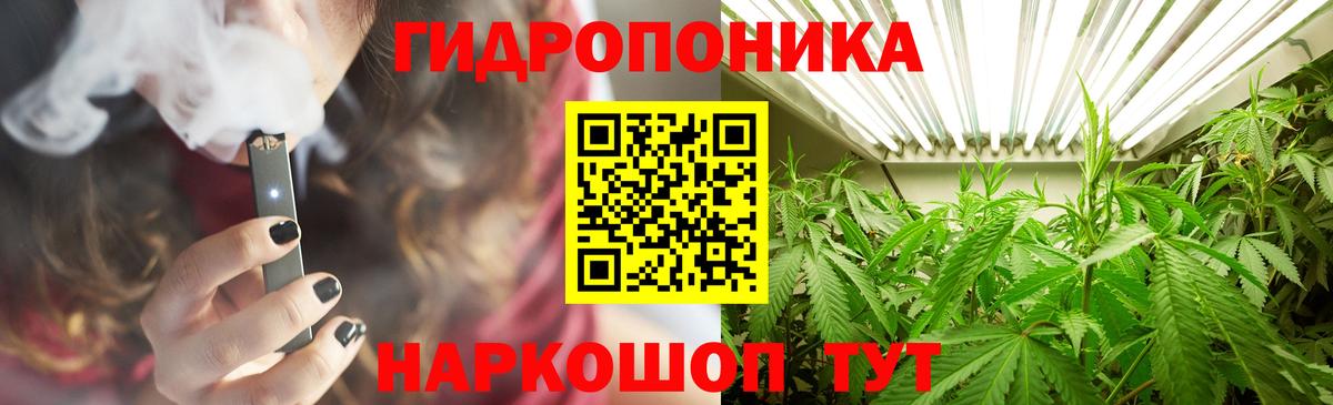 Бошки Шишки семена  Канабис сатива  Вход с VPN  Михайловск 